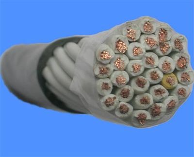 ||金牌產(chǎn)品||淮北計(jì)算機(jī)電纜報(bào)價//淮北電線電纜生產(chǎn)廠家-由天津市電纜總廠第一分廠發(fā)布-中國五金商機(jī)網(wǎng)提供平臺!